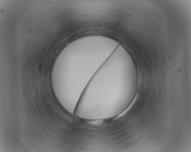 X0000076380191200610060935