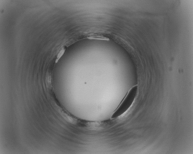 X0000076380192200610060935