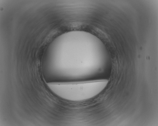 X0000076380225200610060934
