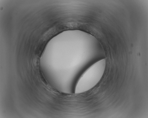 X0000076380233200610060934