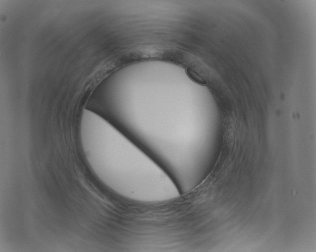 X0000076380262200610060933