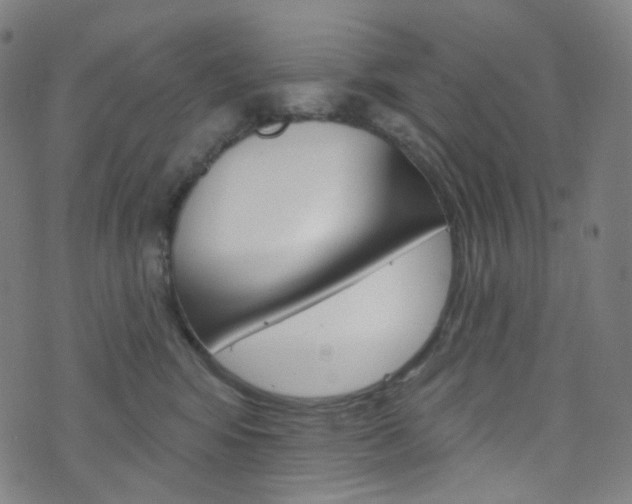 X0000076380424200610060931