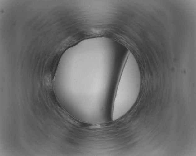 X0000076380425200610060931
