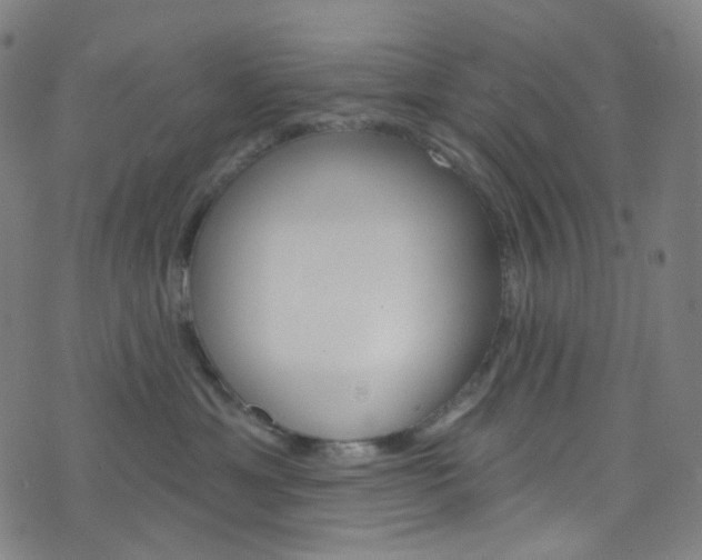 X0000076380429200610060931