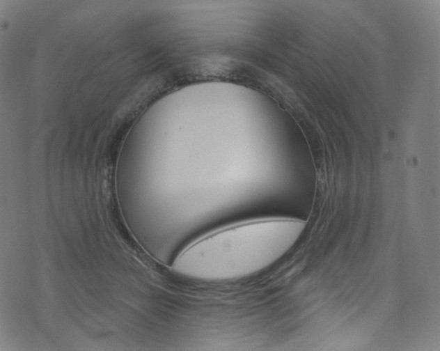 X0000076380462200610060930