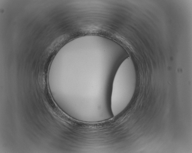 X0000076380494200610060929