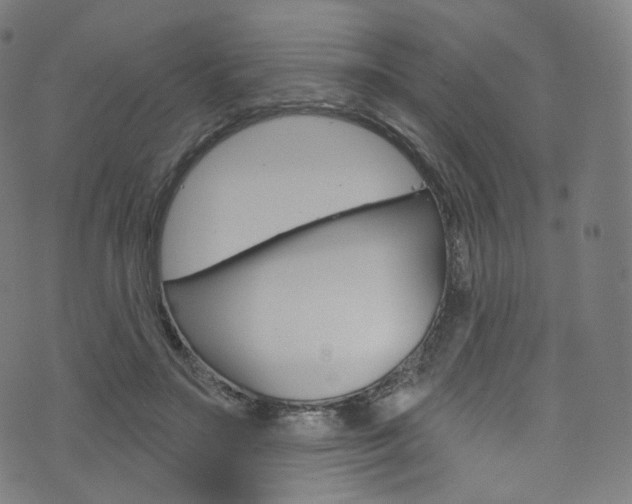 X0000076380499200610060929