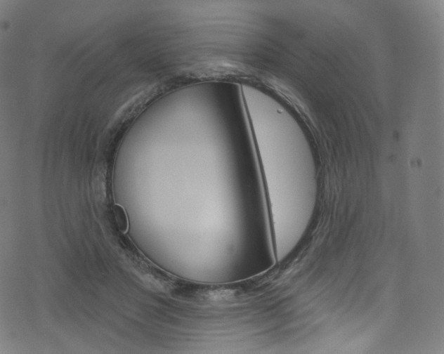 X0000076380501200610060929