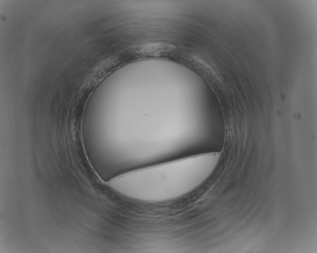 X0000076380504200610060929