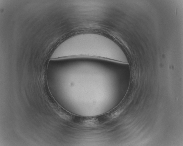 X0000076380505200610060929