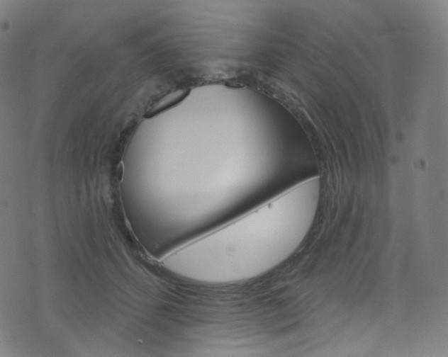 X0000076380512200610060929