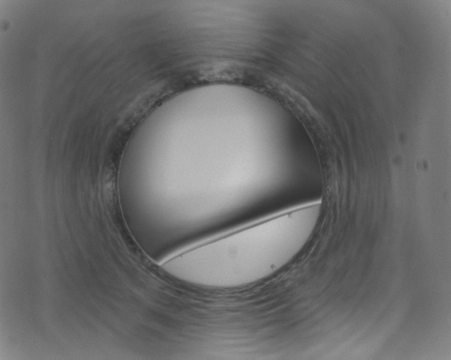 X0000076380513200610060929