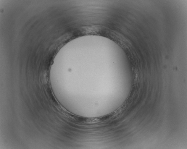 X0000076380514200610060929