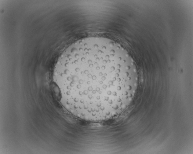 X0000076380519200610060929