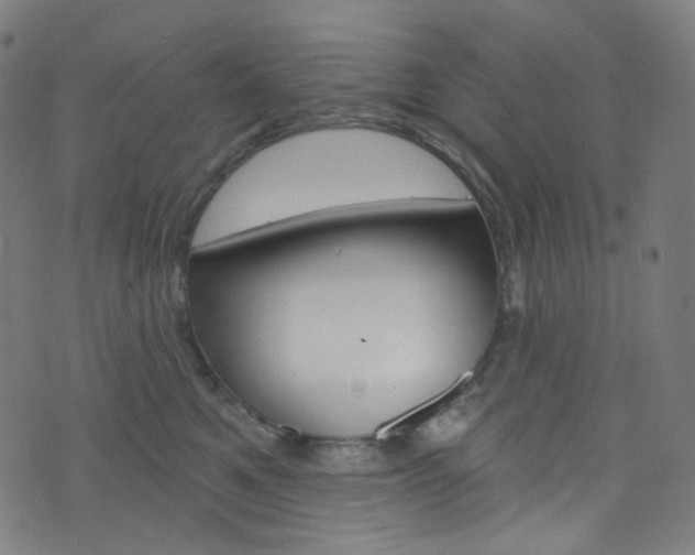 X0000076380521200610060929