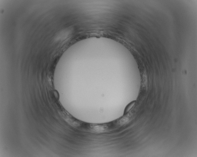 X0000076380522200610060929