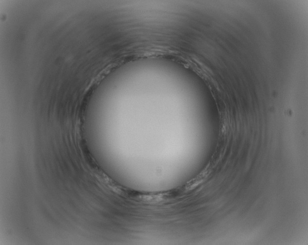 X0000076380524200610060929