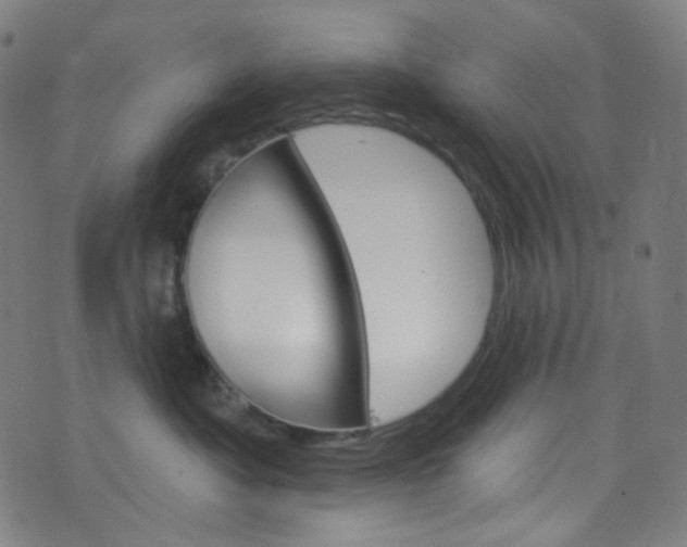 X0000076380525200610060929