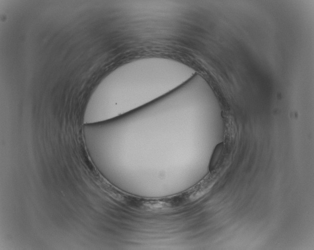 X0000076380557200610060929