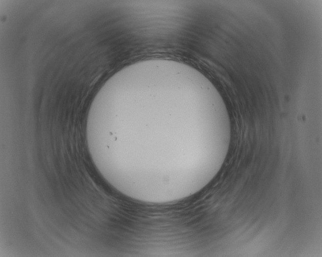 X0000076380560200610060929