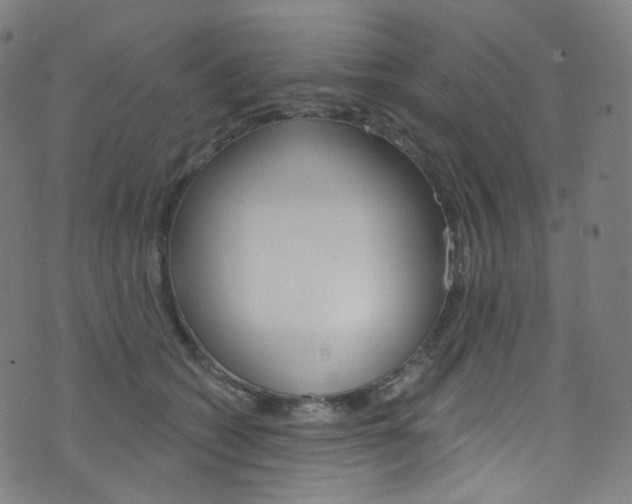 X0000076380562200610060929