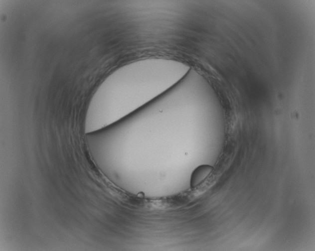 X0000076380565200610060929