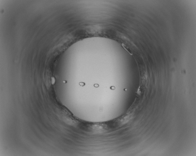 X0000076380566200610060929