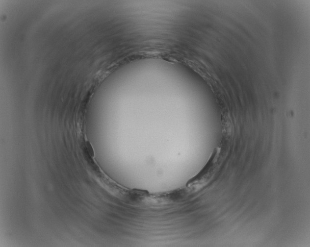 X0000076380568200610060929