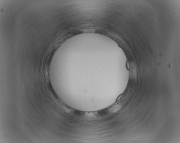 X0000076380573200610060929