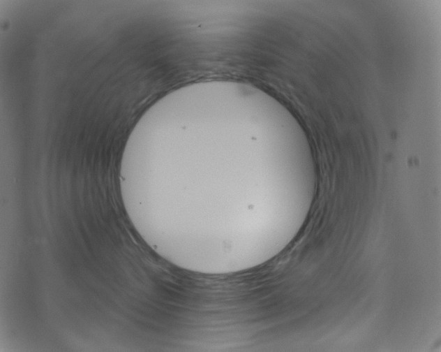 X0000076380576200610060929