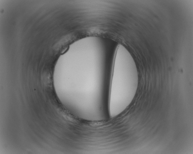 X0000076380619200610060927