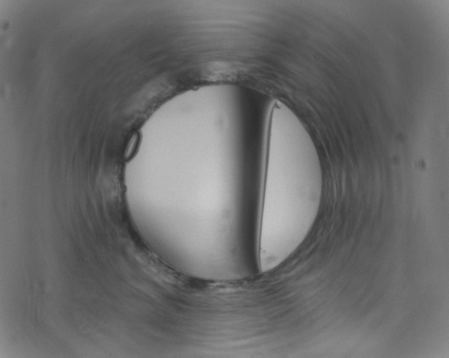 X0000076380620200610060927