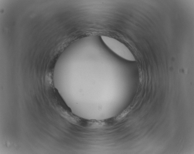 X0000076380621200610060927