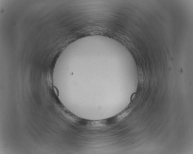 X0000076380622200610060927