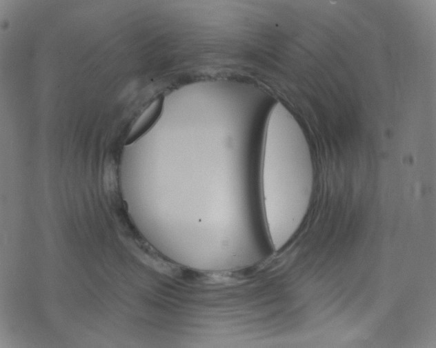 X0000076380623200610060927