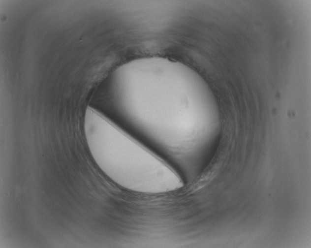 X0000076380624200610060927