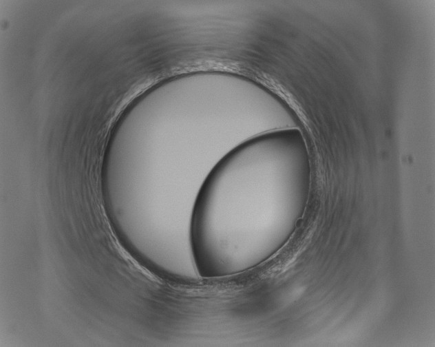 X0000076380625200610060927