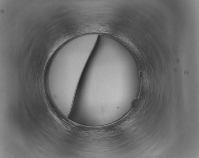 X0000076380626200610060927