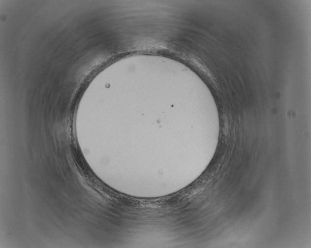 X0000076380632200610060927