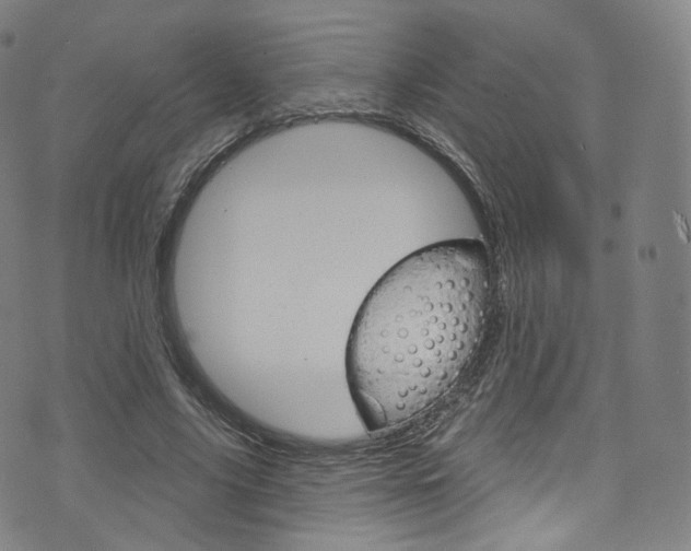 X0000076380635200610060927