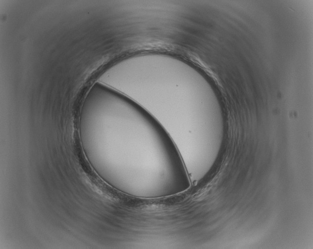 X0000076380637200610060927