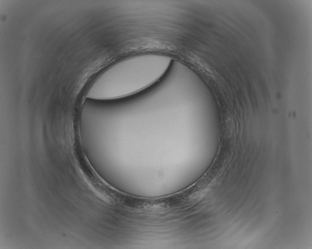 X0000076380638200610060927