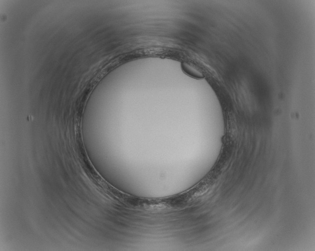 X0000076380645200610060927