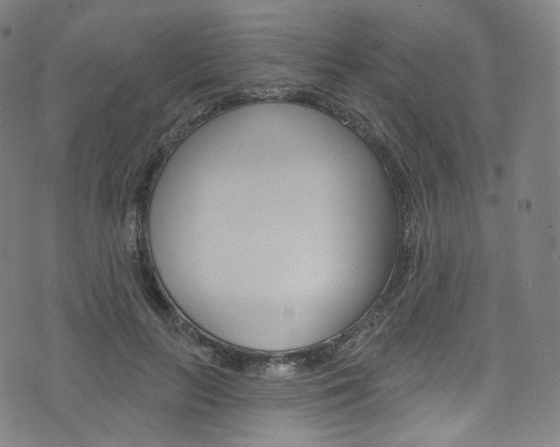 X0000076380647200610060927