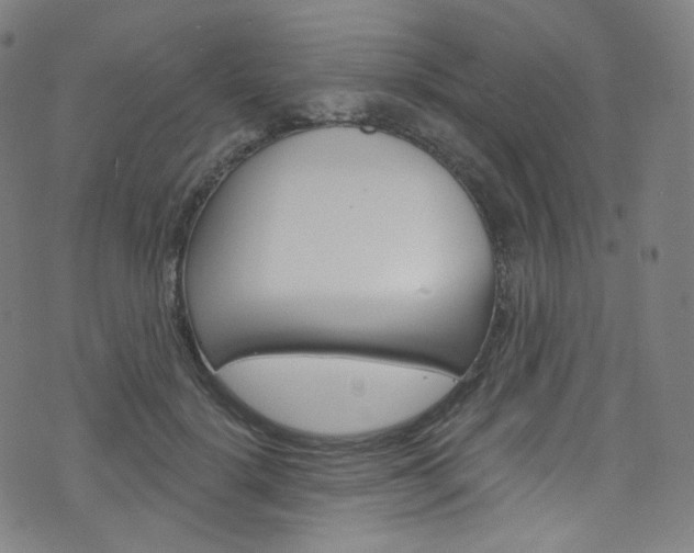 X0000076380652200610060927