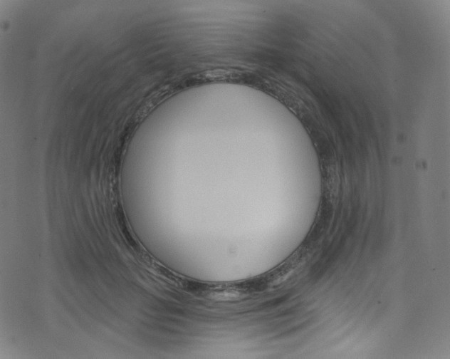 X0000076380653200610060927