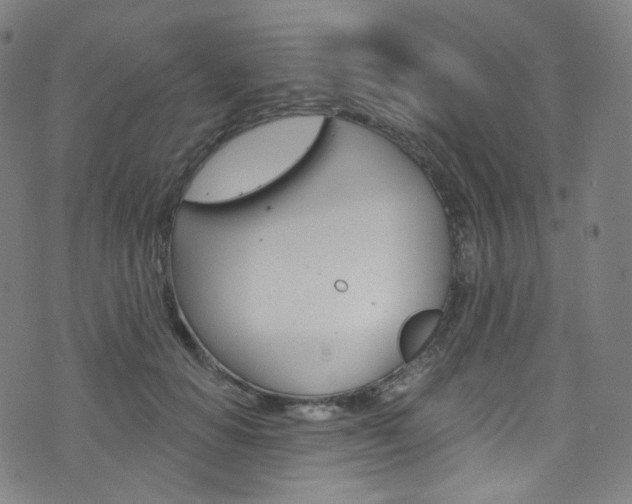 X0000076380654200610060927