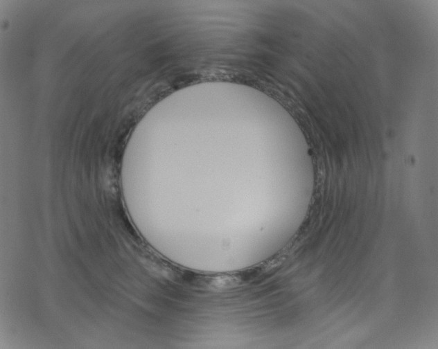 X0000076380663200610060927