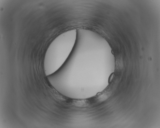 X0000076380671200610060927