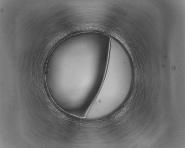 X0000076380673200610060927